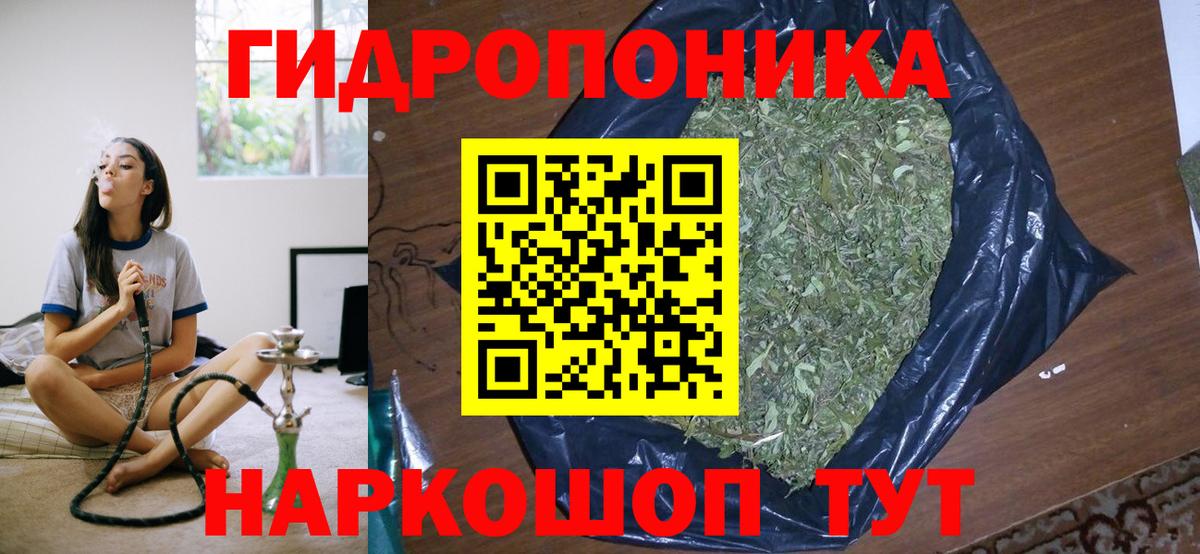 Каннабис тримм  Конопля индика  Вход с VPN  Сертолово  Конопля OG Kush 